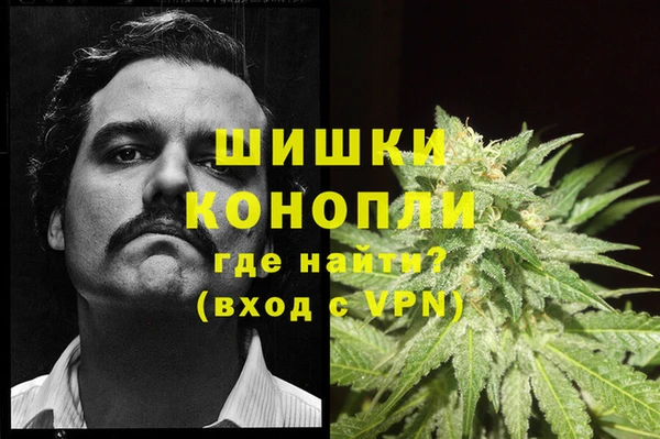 твердый Сясьстрой