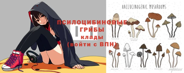 мет Тавда