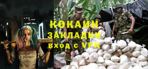 твердый Сясьстрой
