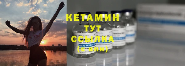 твердый Сясьстрой