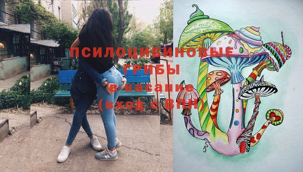 твердый Сясьстрой