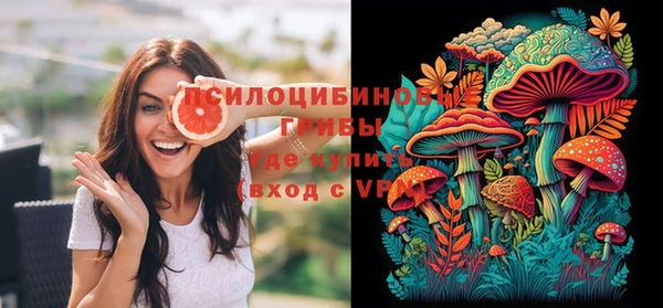 твердый Сясьстрой