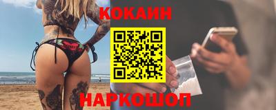 стаф Кингисепп