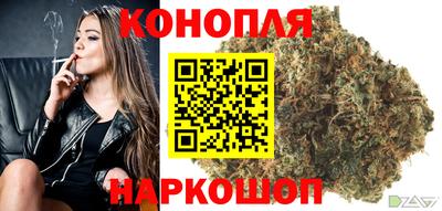 стаф Кингисепп