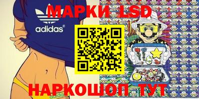 стаф Кингисепп