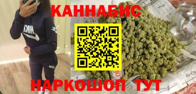 стаф Кингисепп