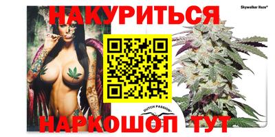 спиды Краснодар