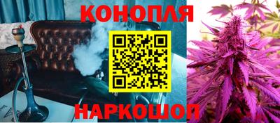 стаф Кингисепп