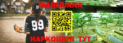 шишки Кинель