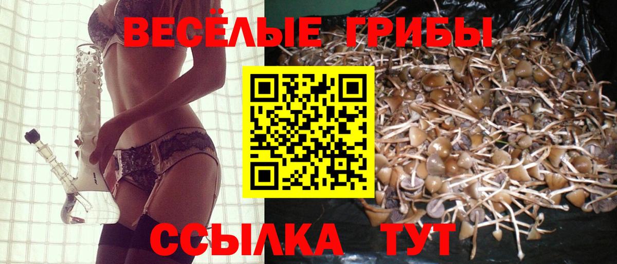 Галлюциногенные грибы Psilocybe  Вход с VPN  Галлюциногенные грибы GOLDEN TEACHER  Нефтекамск 